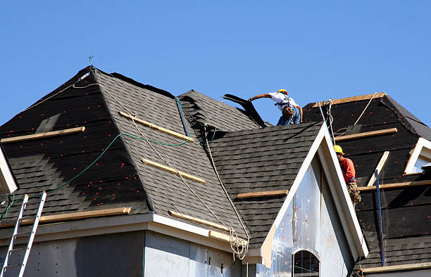Best Commercial Roofing Services  in Forest City, FL