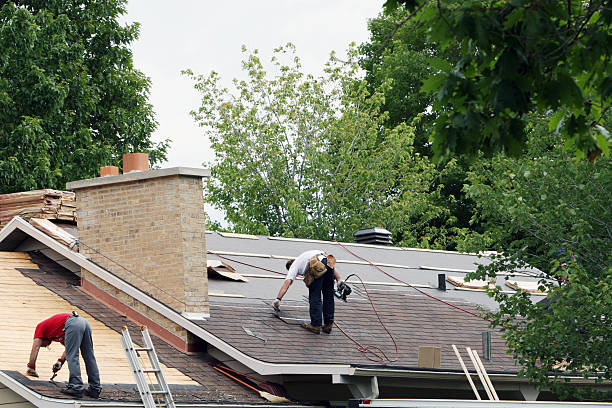 Best Flat Roof Repair Services  in Forest City, FL