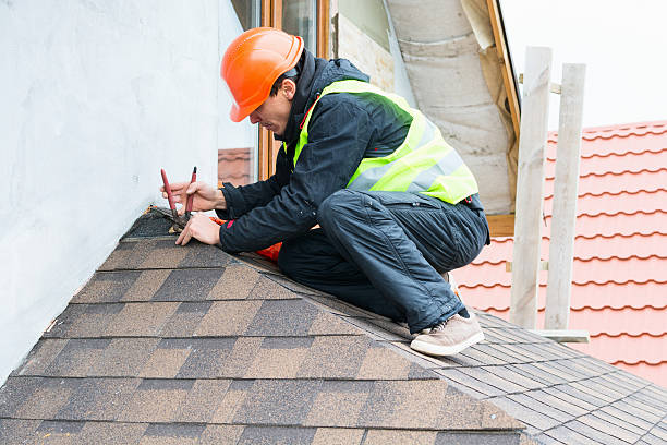 Best Roof Maintenance Services  in Forest City, FL